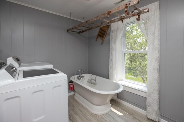 10706 65th Ave SE, Stewartville, MN 55976 - photo 45