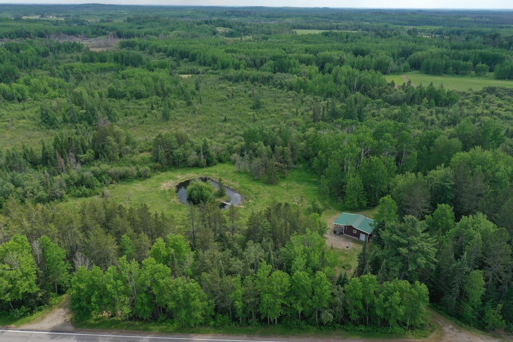 10846 Willow River Rd, Orr, MN 55771 - photo 1