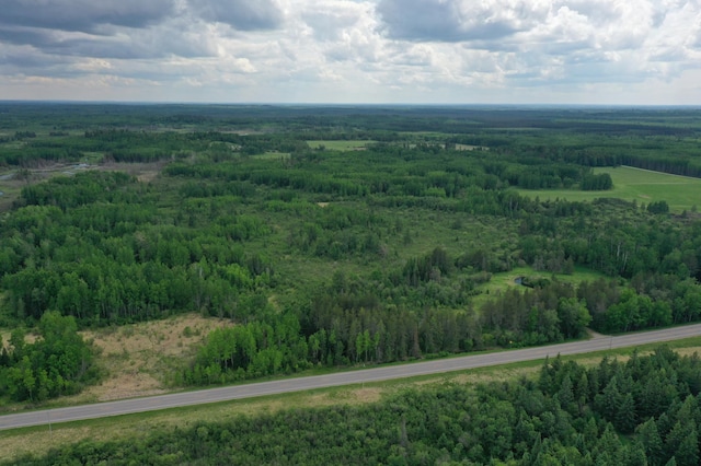 10846 Willow River Rd, Orr, MN 55771