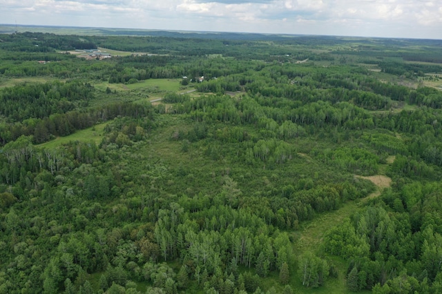 10846 Willow River Rd, Orr, MN 55771