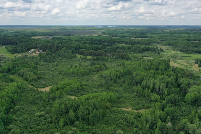 10846 Willow River Rd, Orr, MN 55771