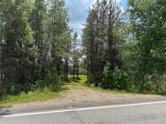 10846 Willow River Rd, Orr, MN 55771