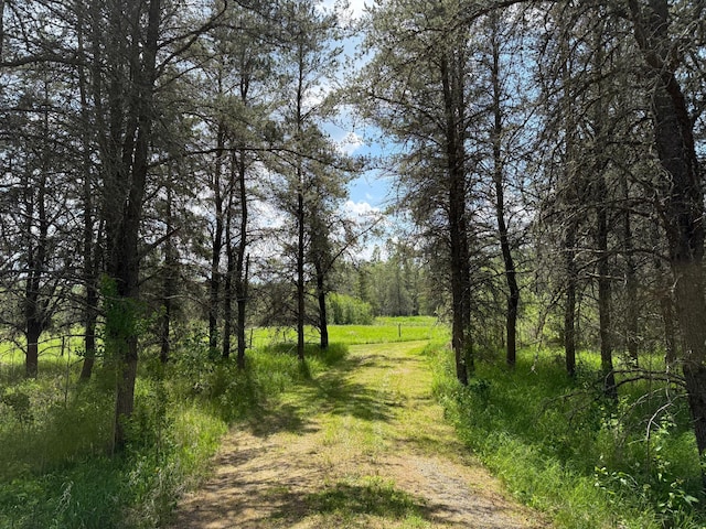10846 Willow River Rd, Orr, MN 55771