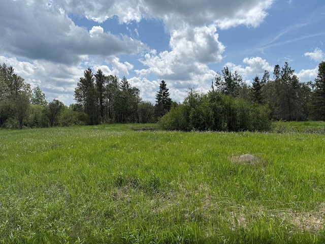10846 Willow River Rd, Orr, MN 55771