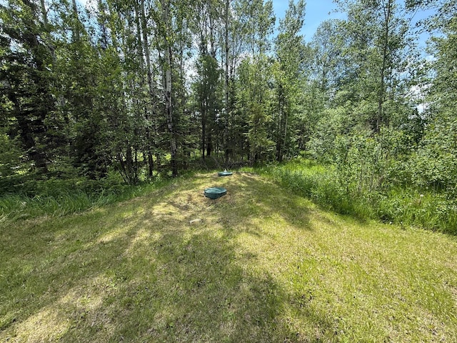 10846 Willow River Rd, Orr, MN 55771