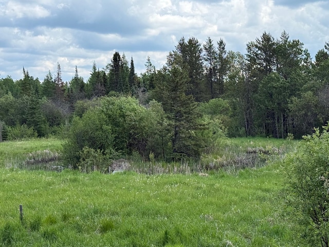 10846 Willow River Rd, Orr, MN 55771