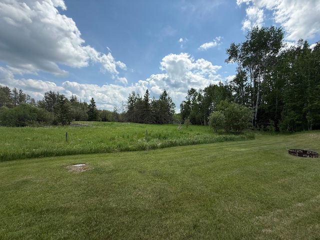 10846 Willow River Rd, Orr, MN 55771