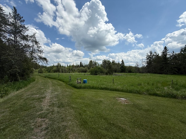 10846 Willow River Rd, Orr, MN 55771