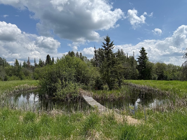 10846 Willow River Rd, Orr, MN 55771