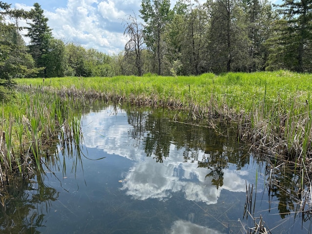10846 Willow River Rd, Orr, MN 55771