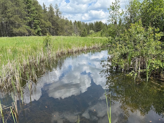 10846 Willow River Rd, Orr, MN 55771