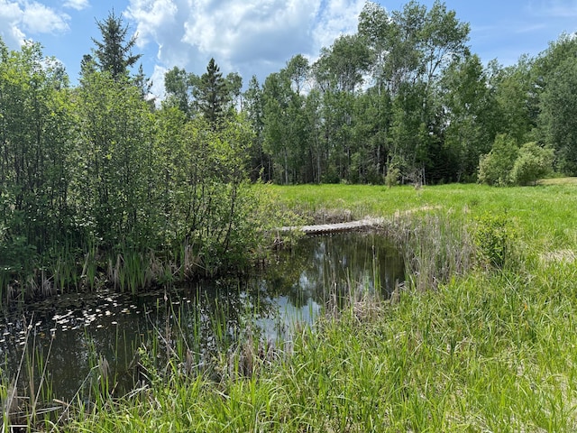 10846 Willow River Rd, Orr, MN 55771