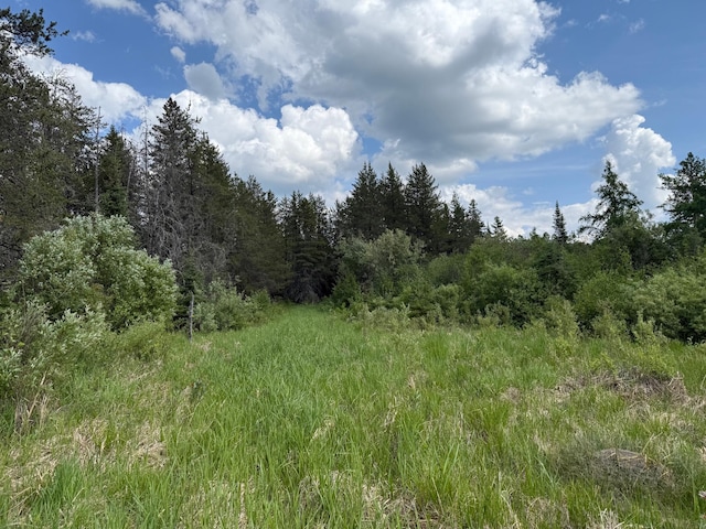 10846 Willow River Rd, Orr, MN 55771