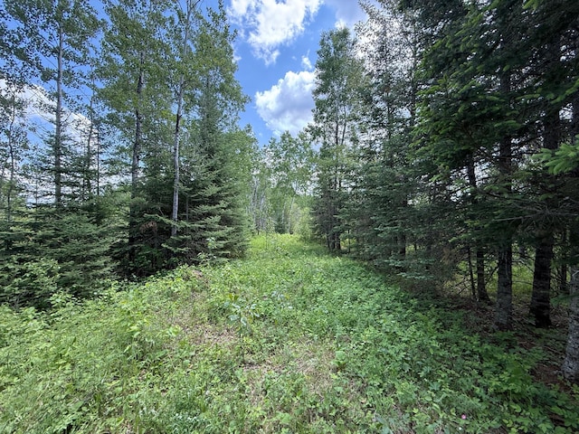 10846 Willow River Rd, Orr, MN 55771