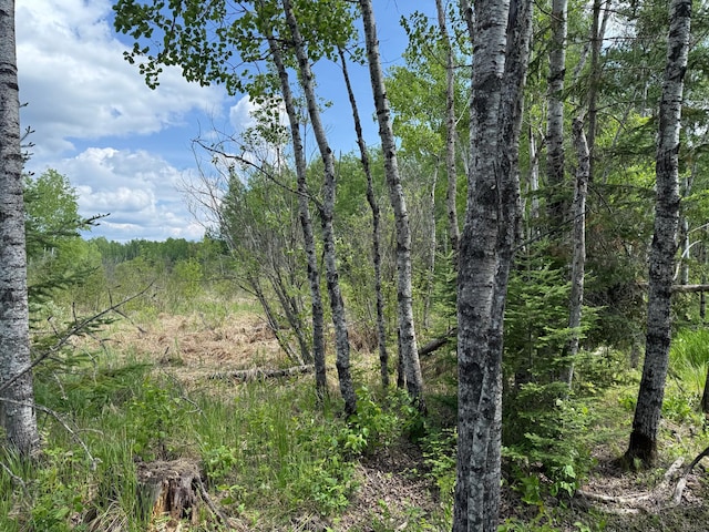 10846 Willow River Rd, Orr, MN 55771