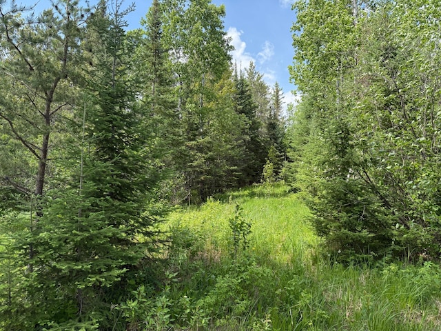 10846 Willow River Rd, Orr, MN 55771