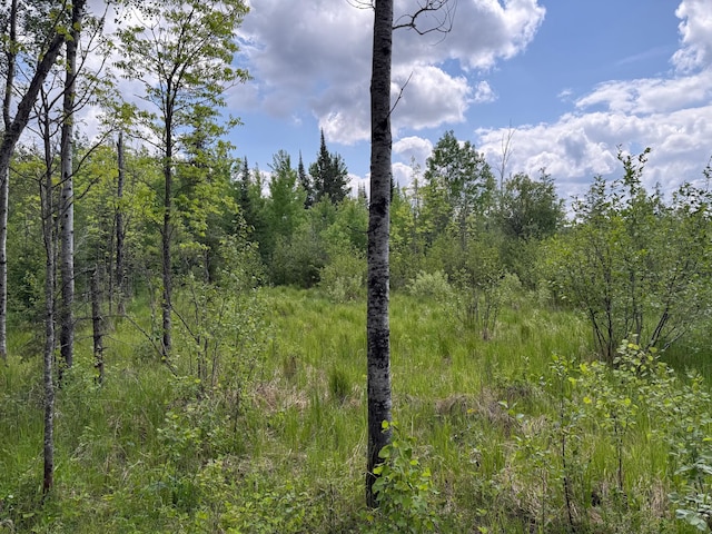 10846 Willow River Rd, Orr, MN 55771
