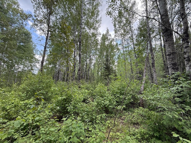 10846 Willow River Rd, Orr, MN 55771
