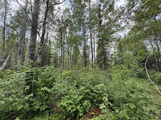 10846 Willow River Rd, Orr, MN 55771
