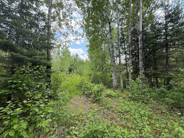 10846 Willow River Rd, Orr, MN 55771