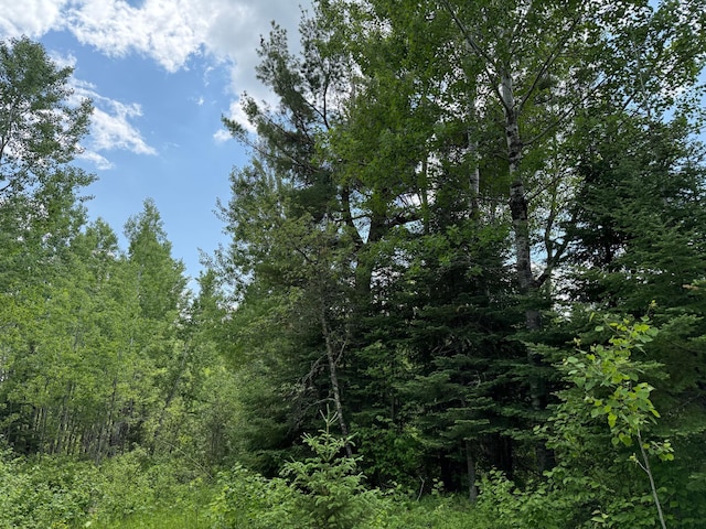 10846 Willow River Rd, Orr, MN 55771