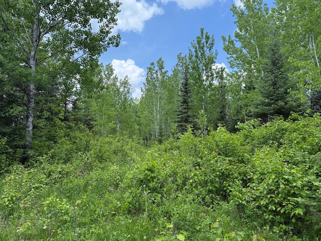 10846 Willow River Rd, Orr, MN 55771