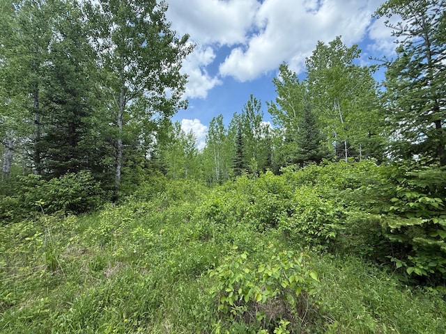 10846 Willow River Rd, Orr, MN 55771