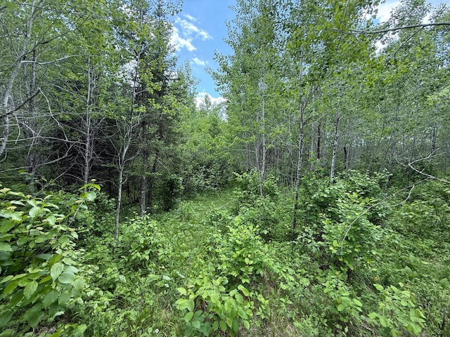 10846 Willow River Rd, Orr, MN 55771