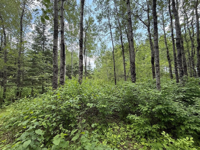 10846 Willow River Rd, Orr, MN 55771