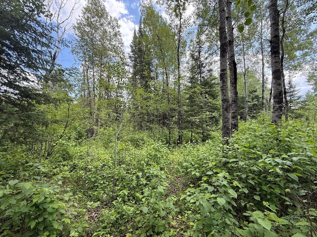 10846 Willow River Rd, Orr, MN 55771