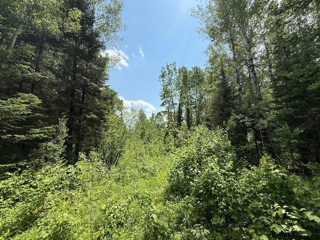 10846 Willow River Rd, Orr, MN 55771