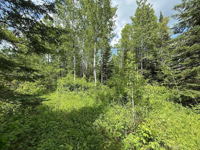 10846 Willow River Rd, Orr, MN 55771
