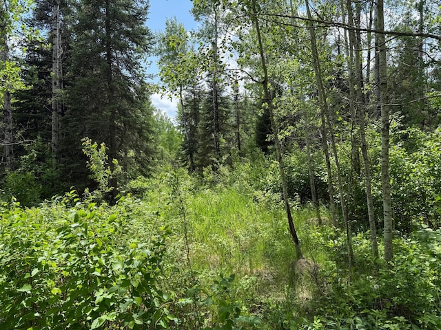 10846 Willow River Rd, Orr, MN 55771