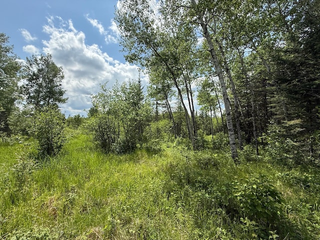 10846 Willow River Rd, Orr, MN 55771