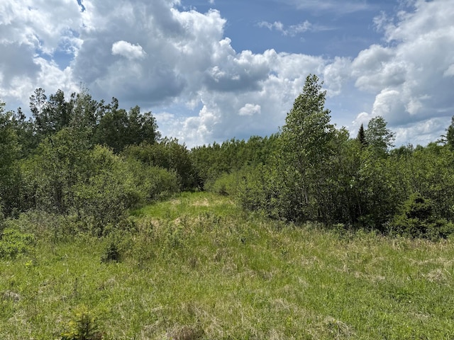 10846 Willow River Rd, Orr, MN 55771