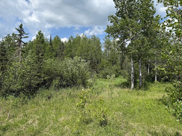 10846 Willow River Rd, Orr, MN 55771