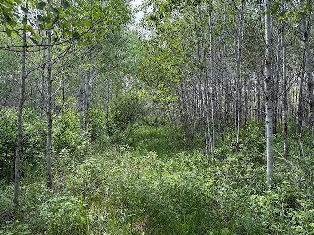 10846 Willow River Rd, Orr, MN 55771