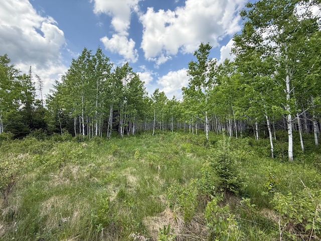 10846 Willow River Rd, Orr, MN 55771