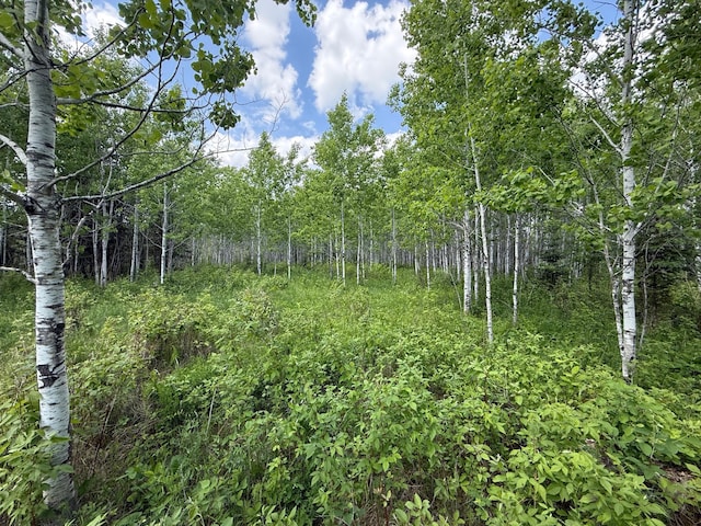 10846 Willow River Rd, Orr, MN 55771
