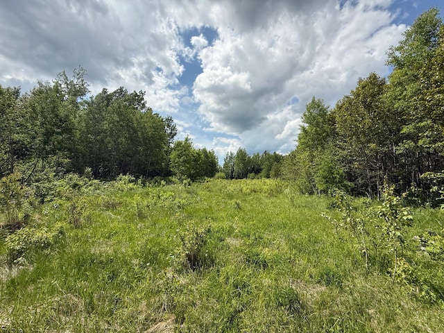 10846 Willow River Rd, Orr, MN 55771