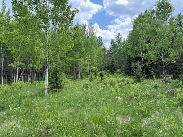 10846 Willow River Rd, Orr, MN 55771