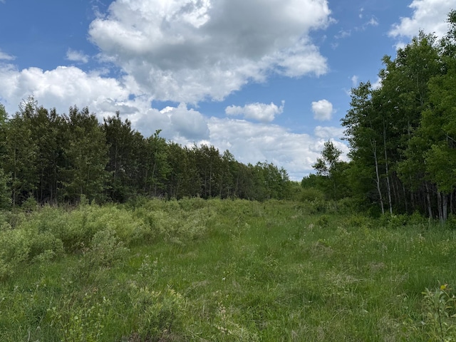 10846 Willow River Rd, Orr, MN 55771