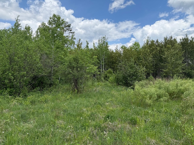 10846 Willow River Rd, Orr, MN 55771