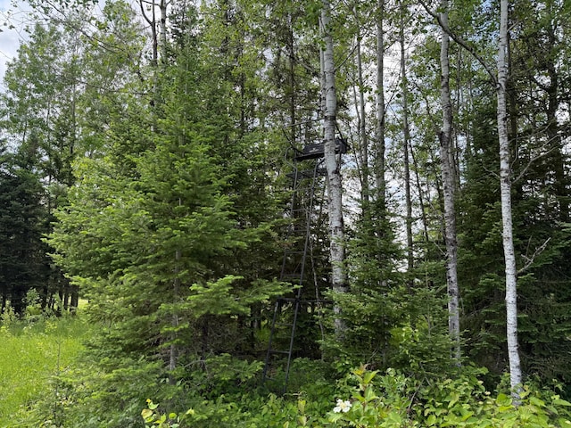 10846 Willow River Rd, Orr, MN 55771