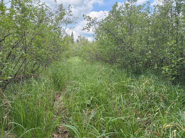 10846 Willow River Rd, Orr, MN 55771