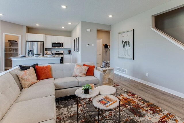 1025 Shoreview Dr, Jordan, MN 55352 - living room featuring wood finished floors and recessed lighting