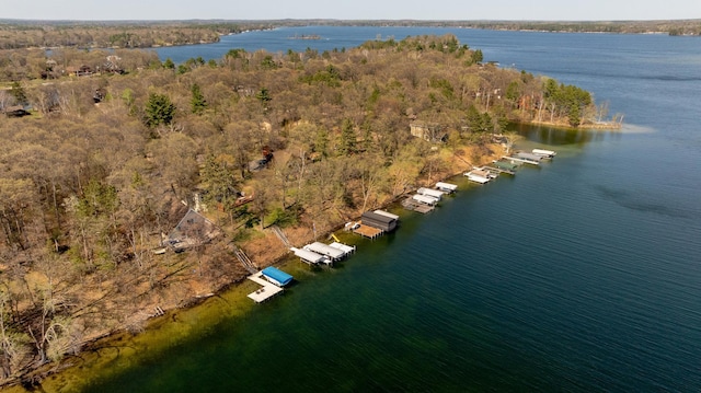 34447 Blue Acres Ln, Crosslake, MN 56442 - view of property location featuring a nearby body of water