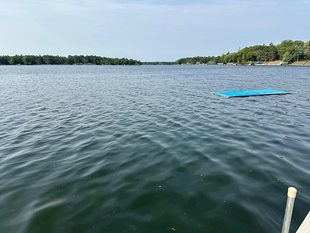34447 Blue Acres Ln, Crosslake, MN 56442 - water view