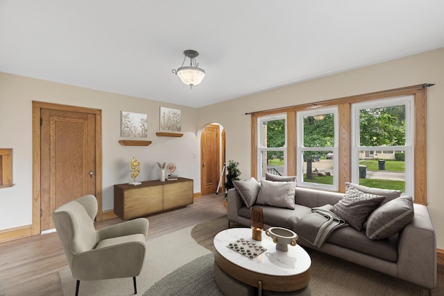 613 Oak St, Farmington, MN 55024 - living area featuring arched walkways and wood finished floors