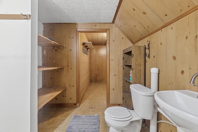 613 Oak St, Farmington, MN 55024 - bathroom with wood walls and a sink